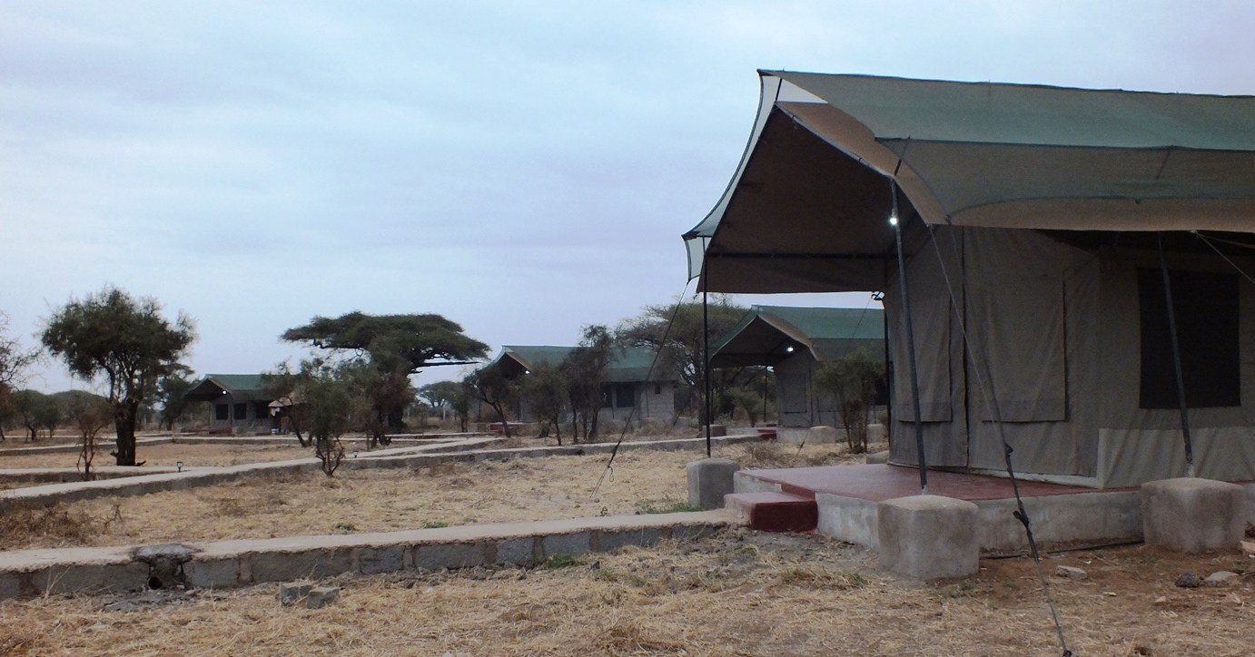 Green safari tents pitched under acacia trees on the grounds of Amboseli Mountain View Camp.