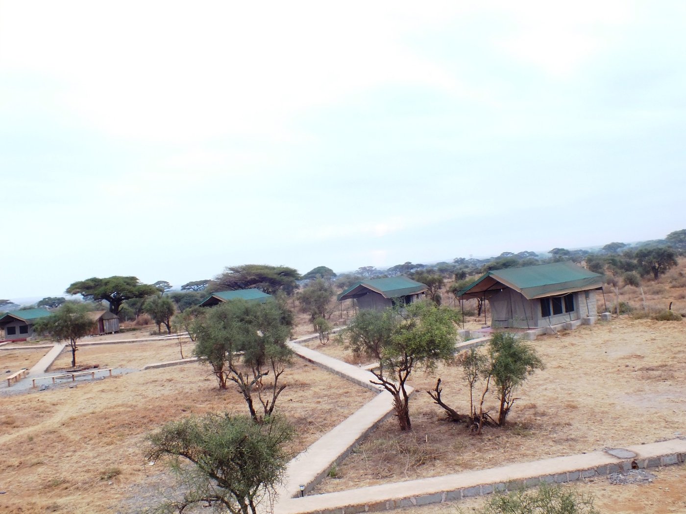 Gravel path winding past acacia trees across the camp grounds at Amboseli Mountain View Camp.