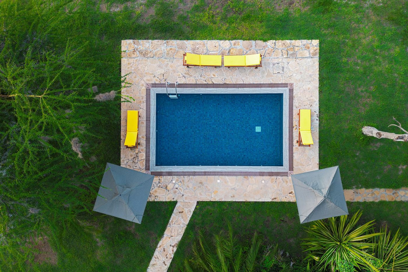 Aerial view of the rectangular pool with yellow loungers at Kibo Villa.