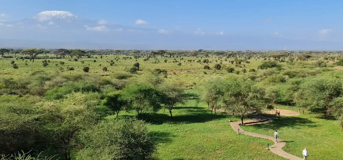 Sweeping savanna view with Kilimanjaro on the horizon near Kilima Safari Camp.