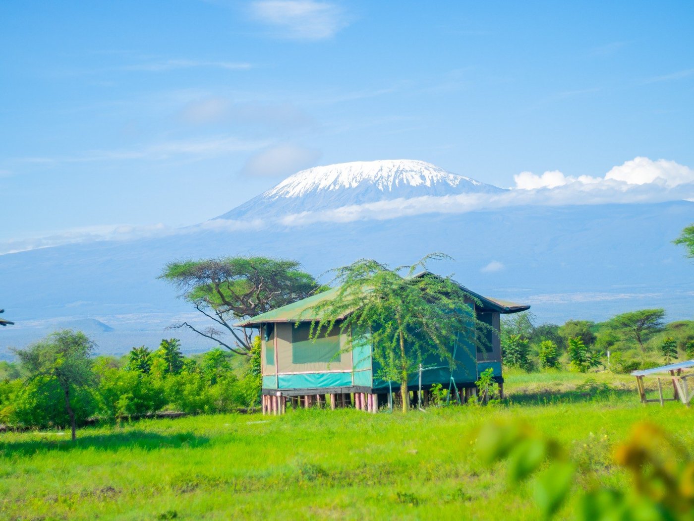 Stilted tent camp on open grassland with snow-capped Kilimanjaro behind at Nyati Safari Camp, Amboseli.