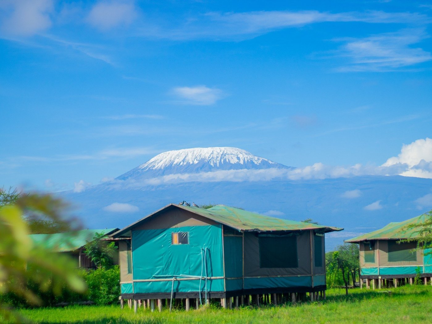 Teal-sided tent on stilts with Kilimanjaro rising behind it at Nyati Safari Camp.