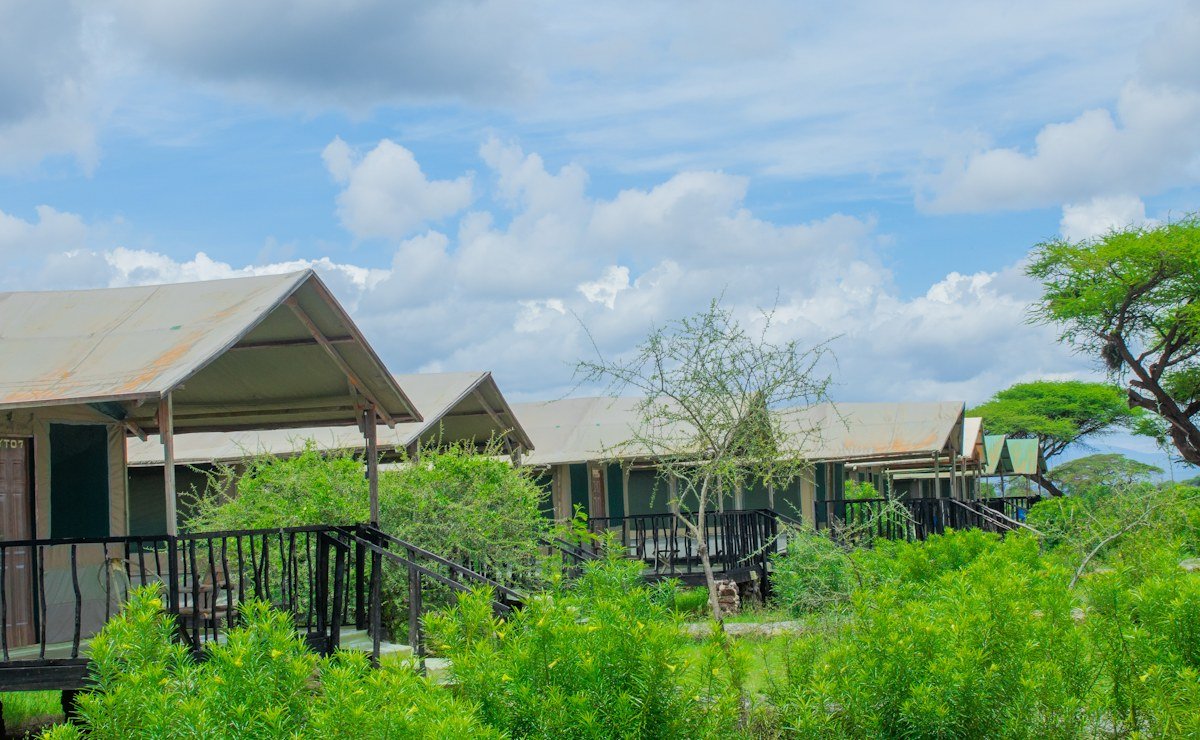 Row of tented rooms along a raised walkway amid green bush at Nyati Safari Camp.