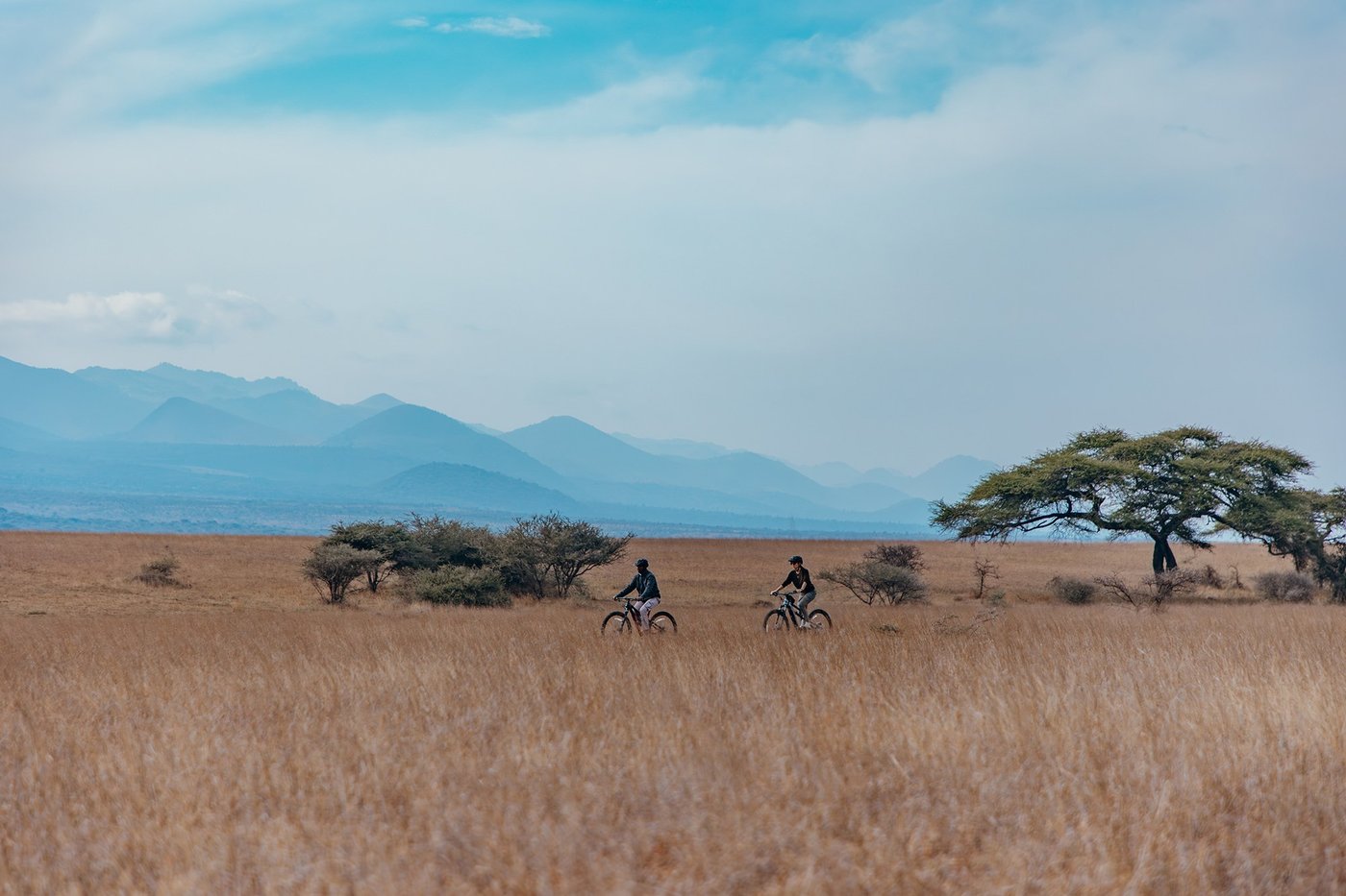 Mountain bikers crossing open grassland near ol Donyo Lodge.