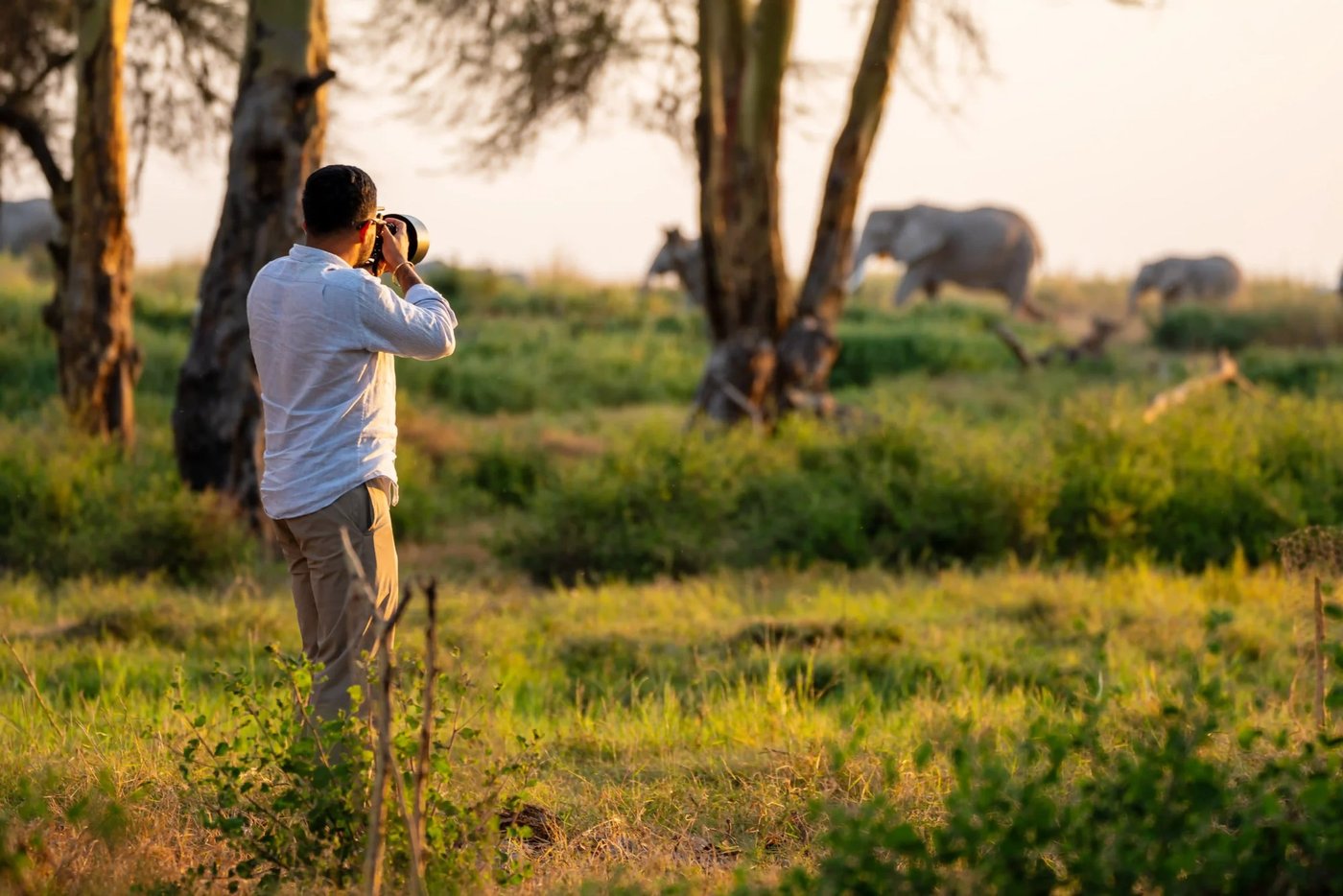 Guest photographing elephants grazing among acacia trees at Soroi Amboseli.