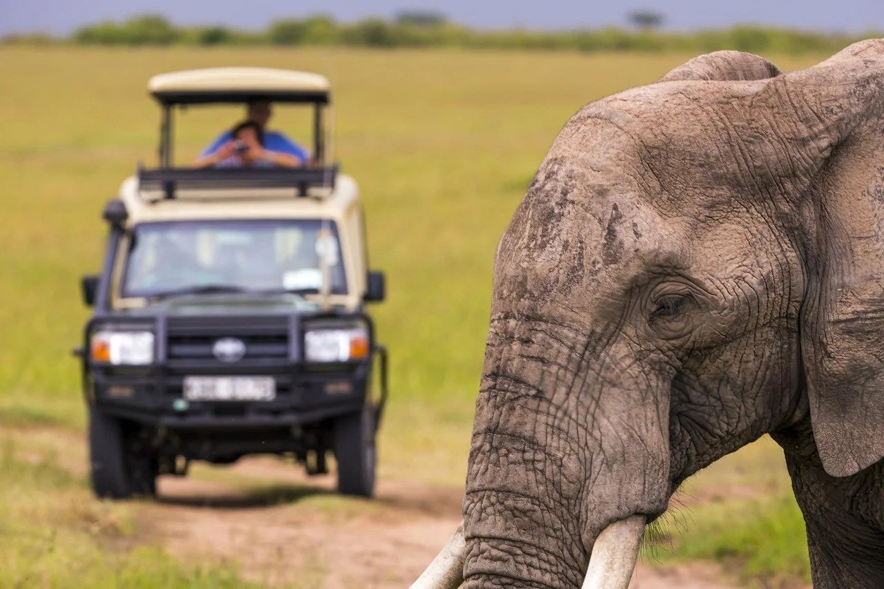 Safari vehicle parked close to a grazing elephant near Sungura Safari Camp.